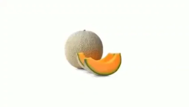 Cantaloupe